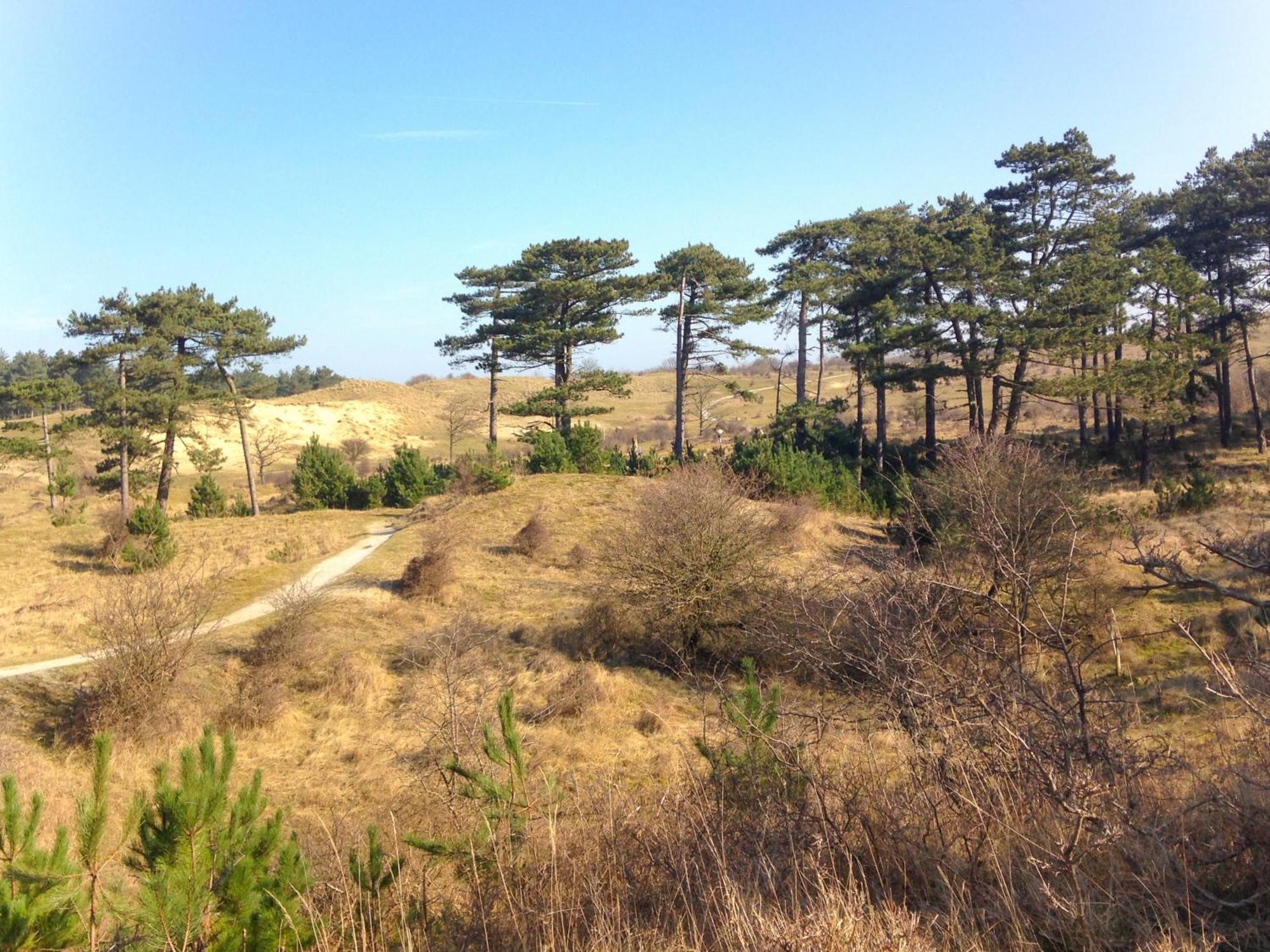 B&B Noordzee-Kerstdeco-Sauna-Strand7Km-Kennemerduinen Driehuis Luaran gambar
